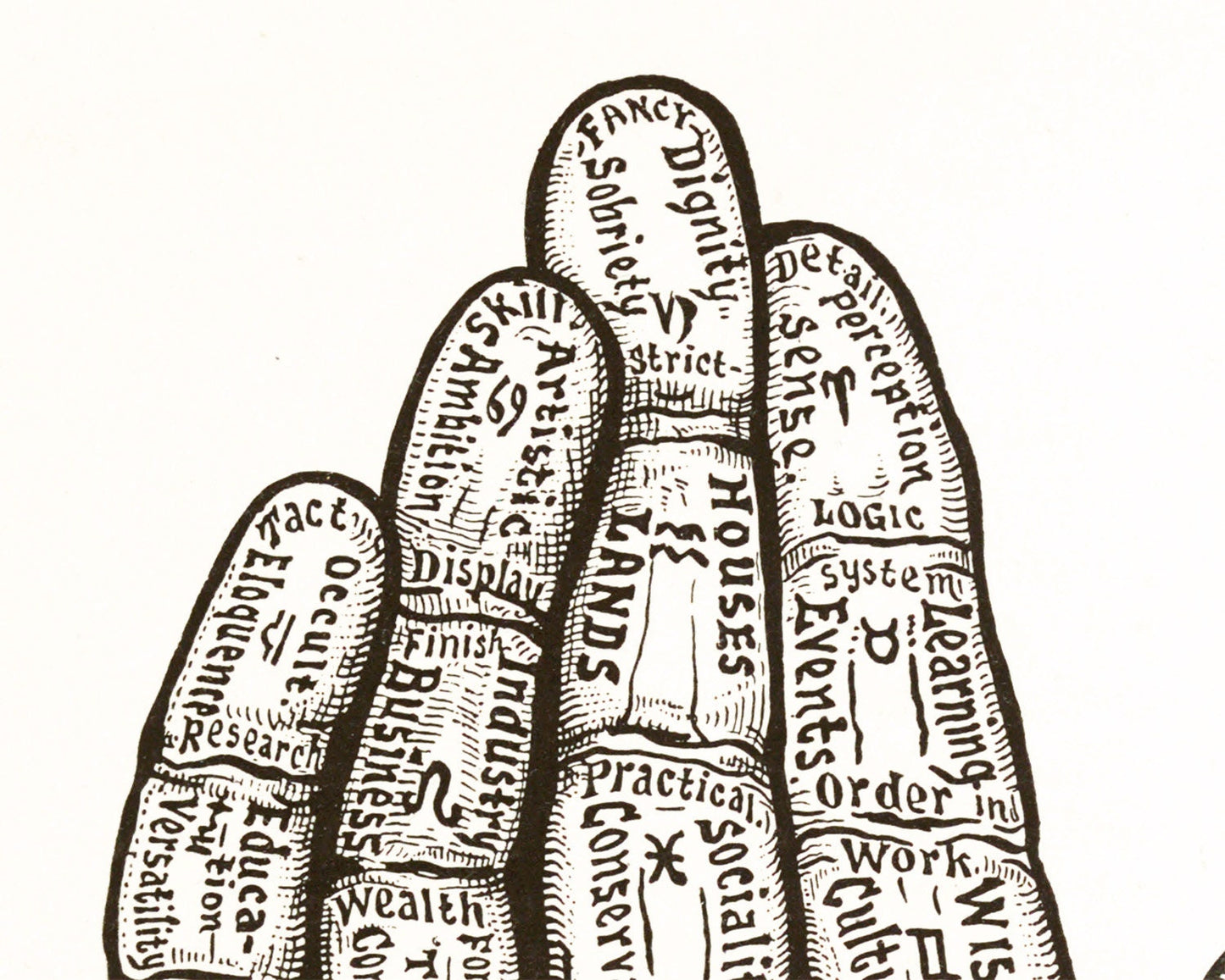 Chart of the Hand | 1885