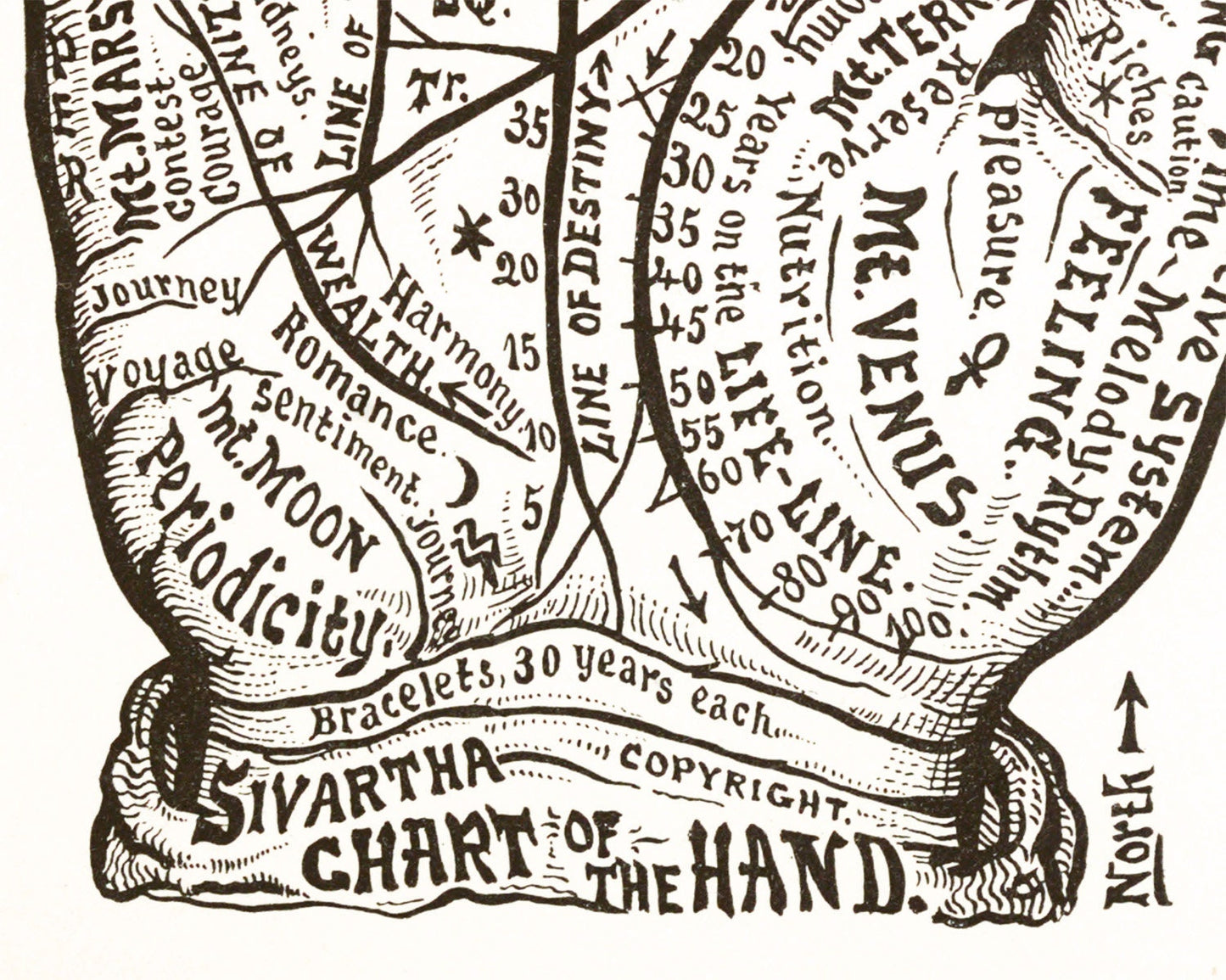 Chart of the Hand | 1885