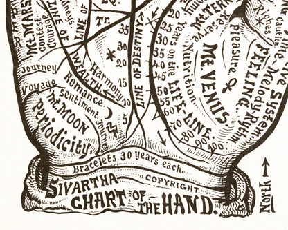 Chart of the Hand | 1885