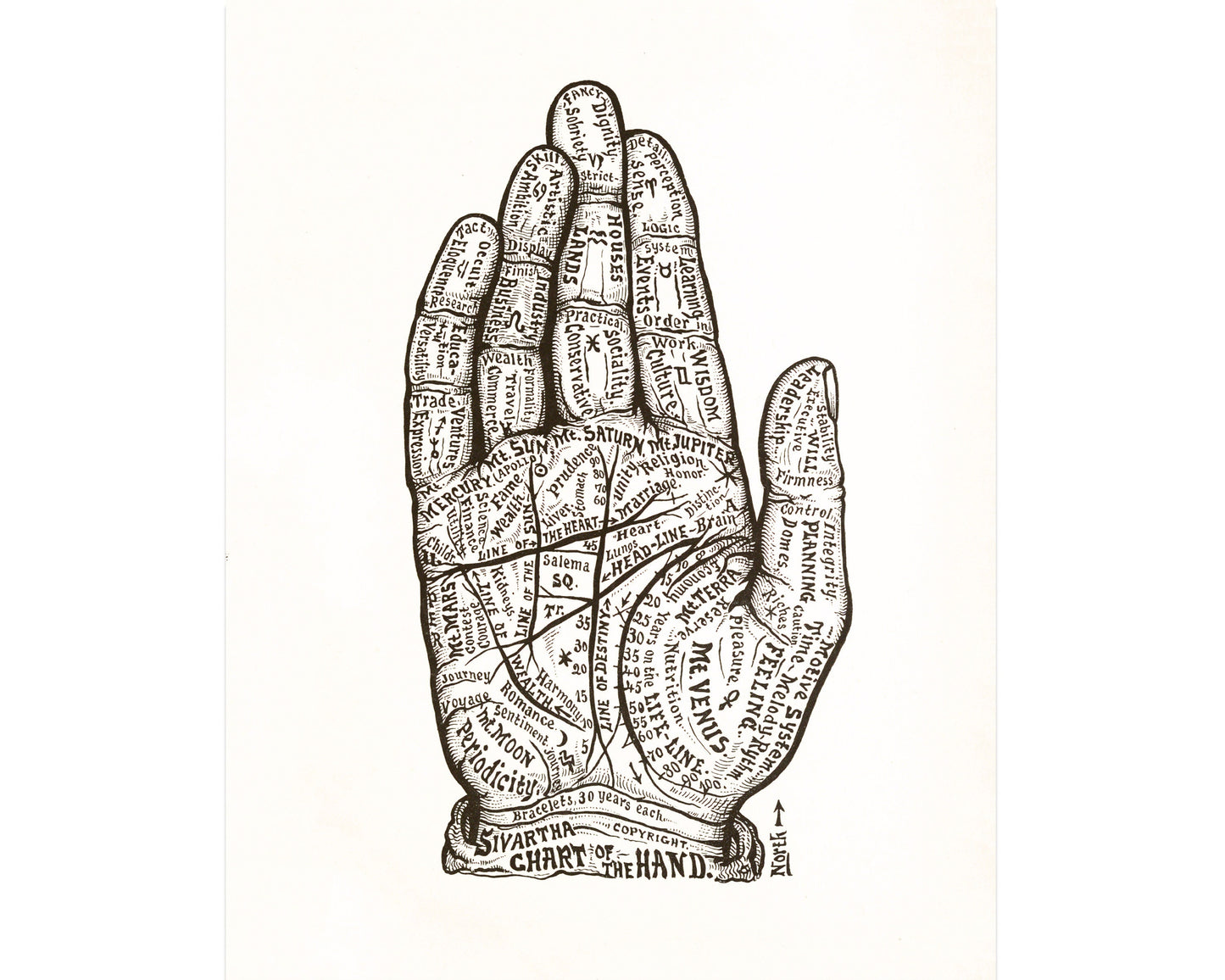 Chart of the Hand | 1885