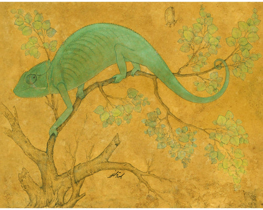 Chameleon | 17th Century