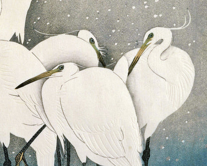 Group of Egrets | 20th Century
