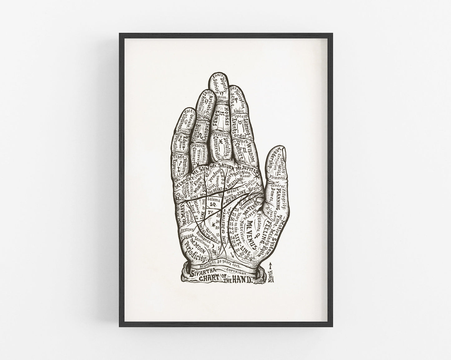 Chart of the Hand | 1885