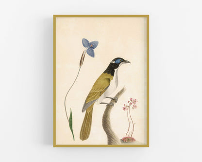 Crimson Rosella and Native Fuschia | 1787