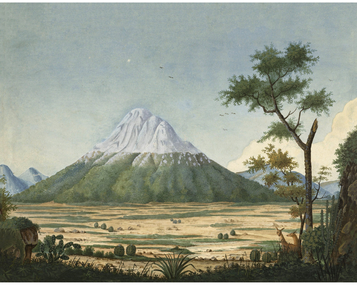Tropical Landscape with Mountain | 18th Century