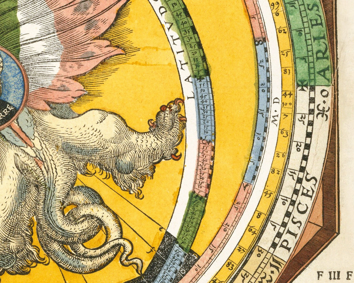 Astronomicum Caesareum | 1540