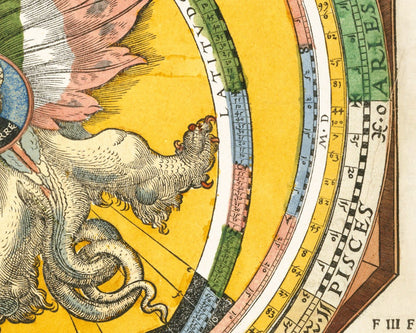 Astronomicum Caesareum | 1540