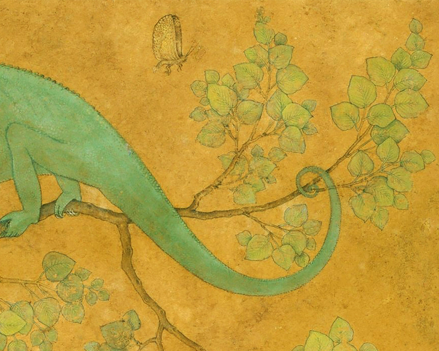 Chameleon | 17th Century