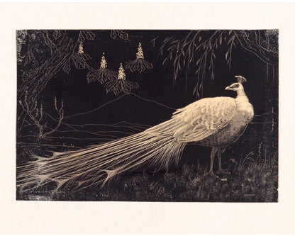 Peacock in a Landscape | 19th Century