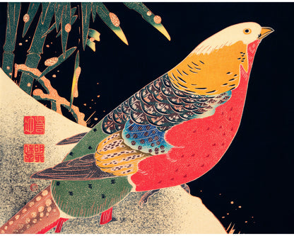 Golden Pheasant in the Snow | 1900