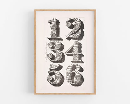 Specimens of Type | 1830