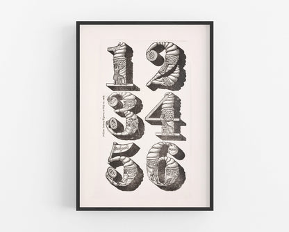 Specimens of Type | 1830