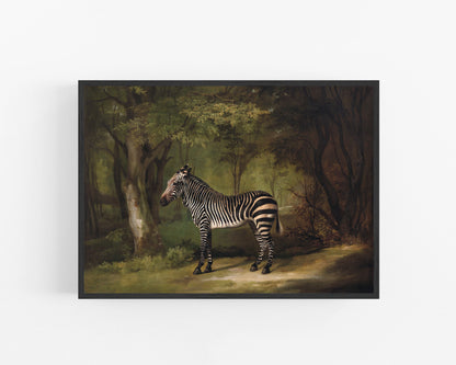 Zebra in a Jungle | 1763