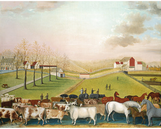 Cornell's Farm | 1848