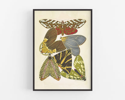 Butterflies | 1925