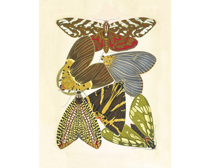 Butterflies | 1925