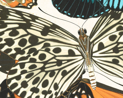 Butterflies | 1925