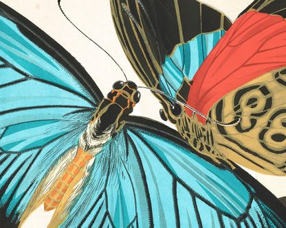 Butterflies | 1925