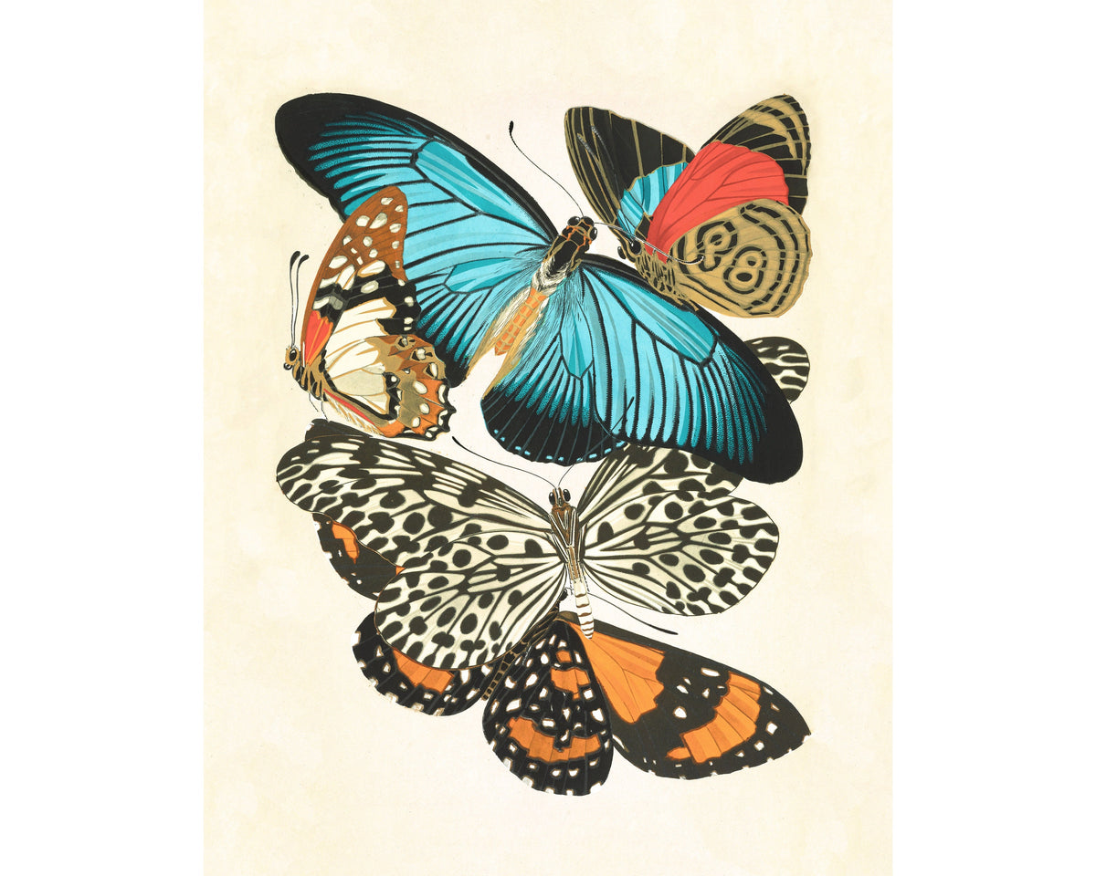 Butterflies | 1925