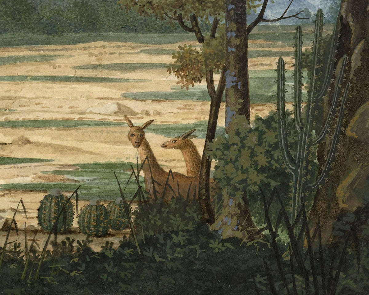 Tropical Landscape with Mountain | 18th Century