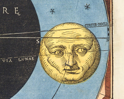 Astronomicum Caesareum | 1540