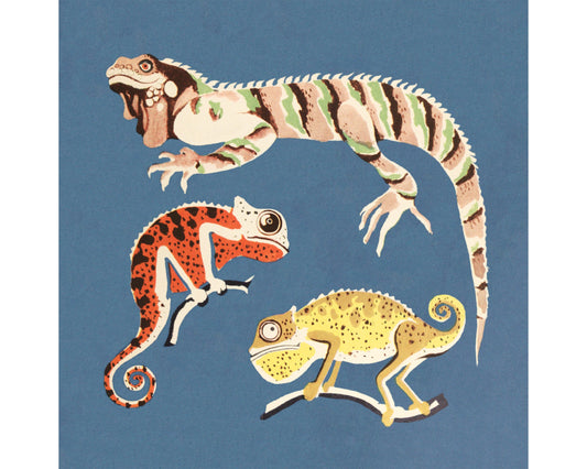 Lizard and Chameleon | 1938