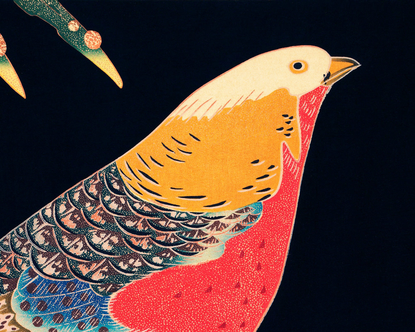 Golden Pheasant in the Snow | 1900