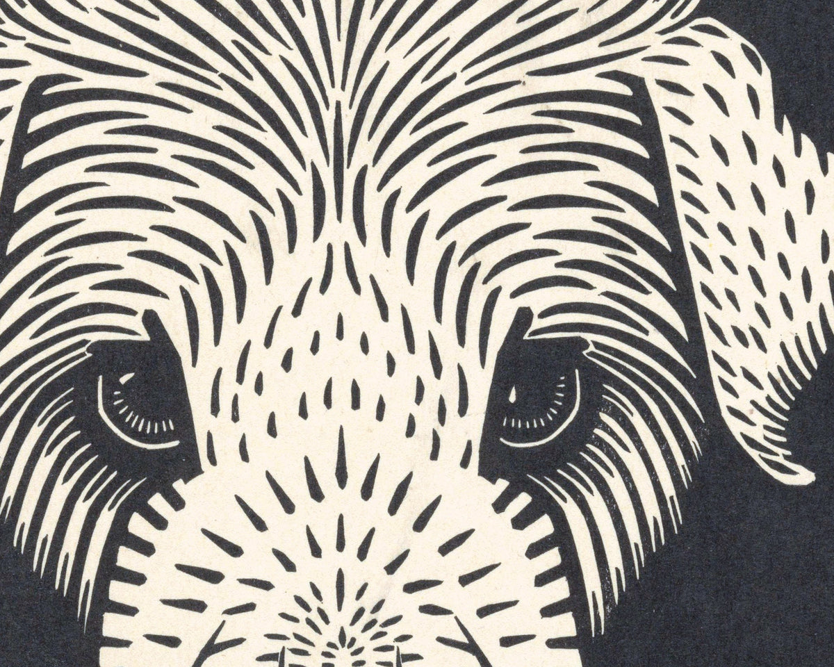 Dog | 1920