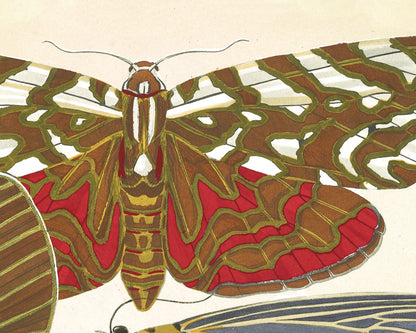 Butterflies | 1925