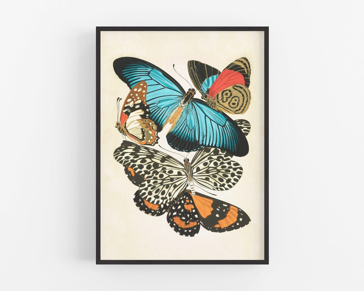 Butterflies | 1925