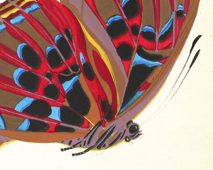Butterflies | 1925
