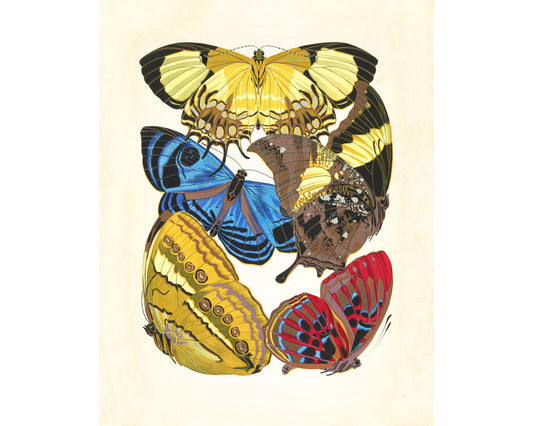 Butterflies | 1925