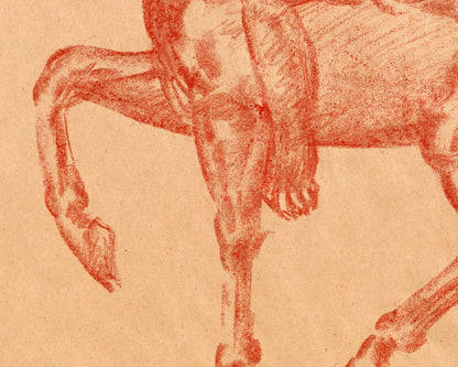 Native American on Horseback drawing | 19th century