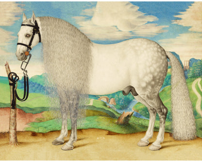 Dappled Gray Stallion Tethered in a Landscape | 16th Century