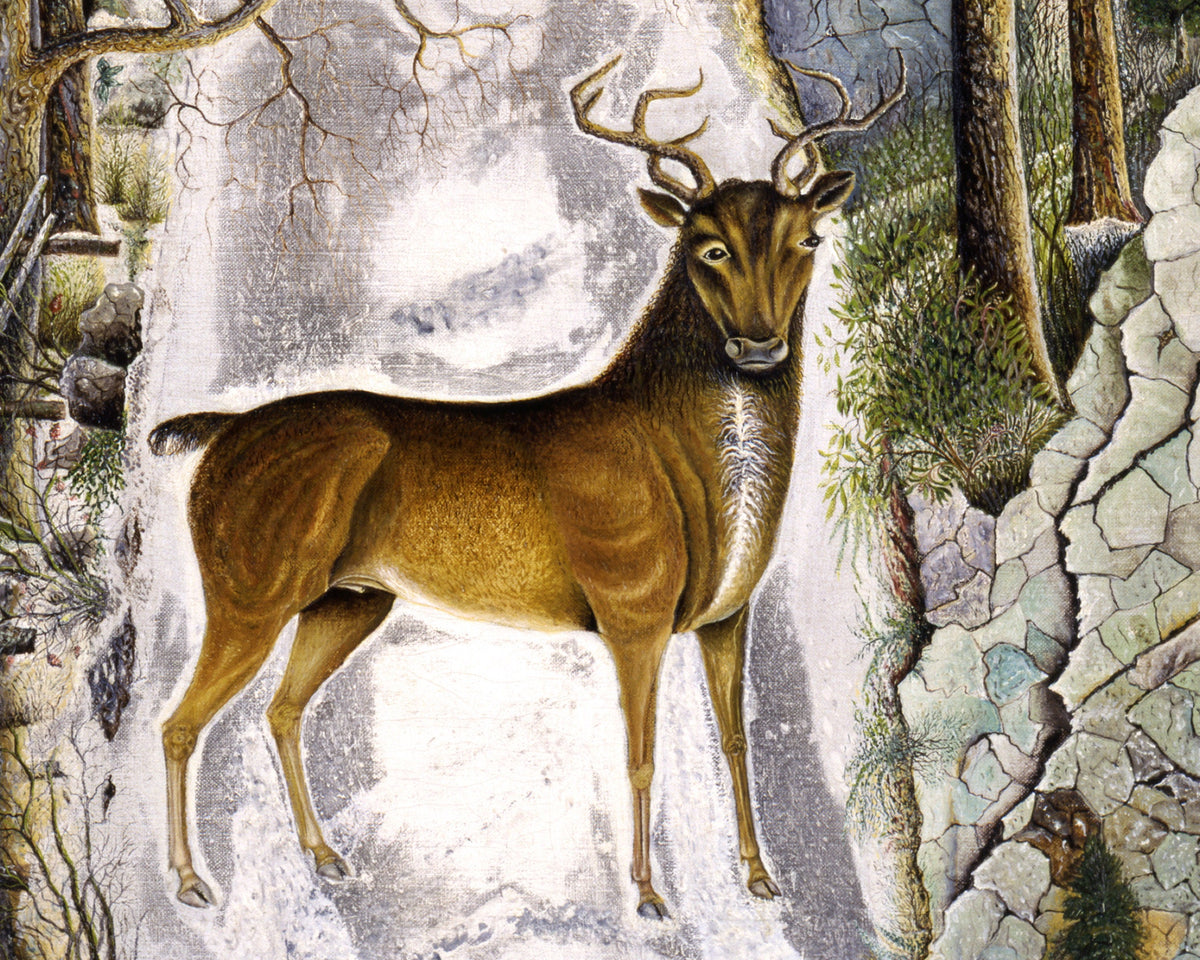 Stag at Echo Rock | 19th Century