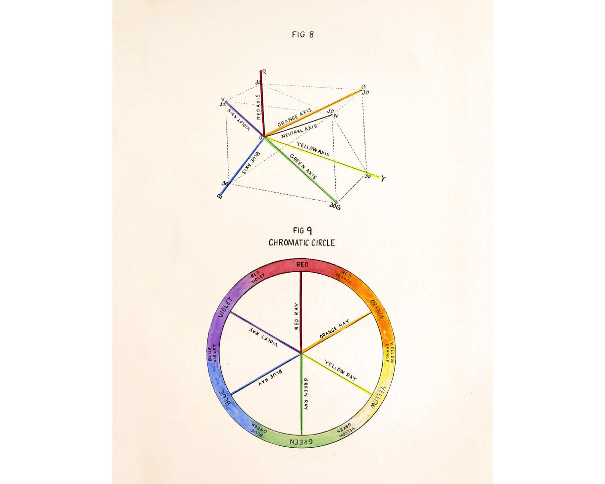 The Study of Color Phenomena | 1905