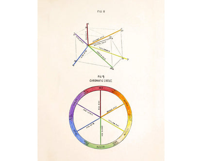 The Study of Color Phenomena | 1905