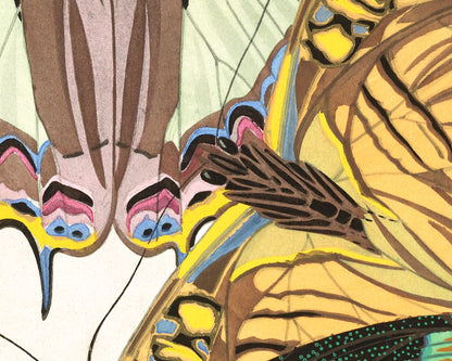 Butterflies | 1925