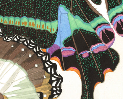 Butterflies | 1925
