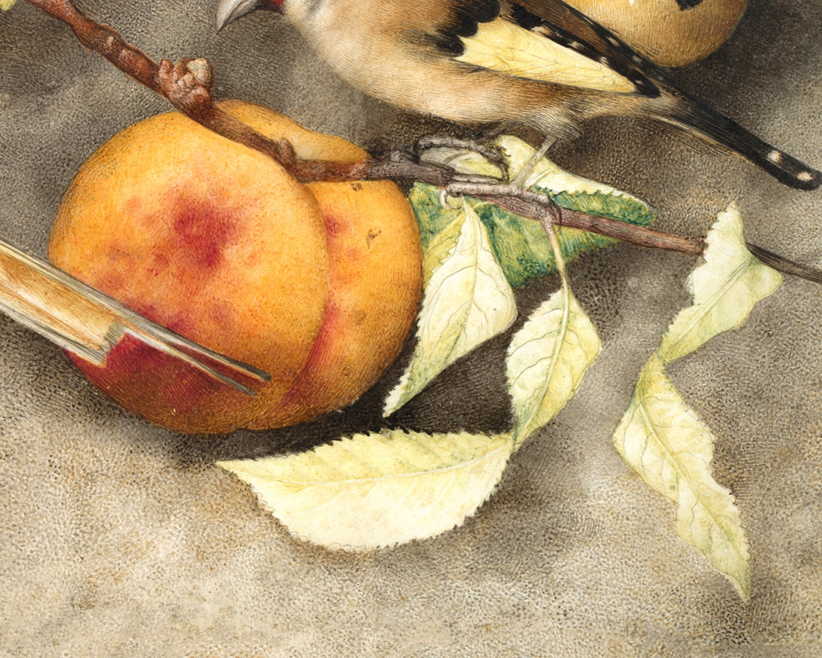 Still Life with Birds and Fruit | 1650
