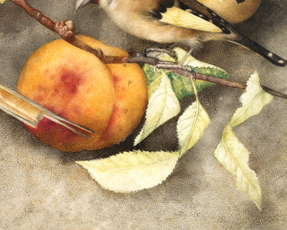 Still Life with Birds and Fruit | 1650