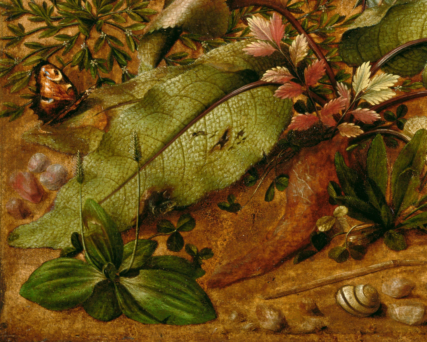 A Hare in the Forest | 1585
