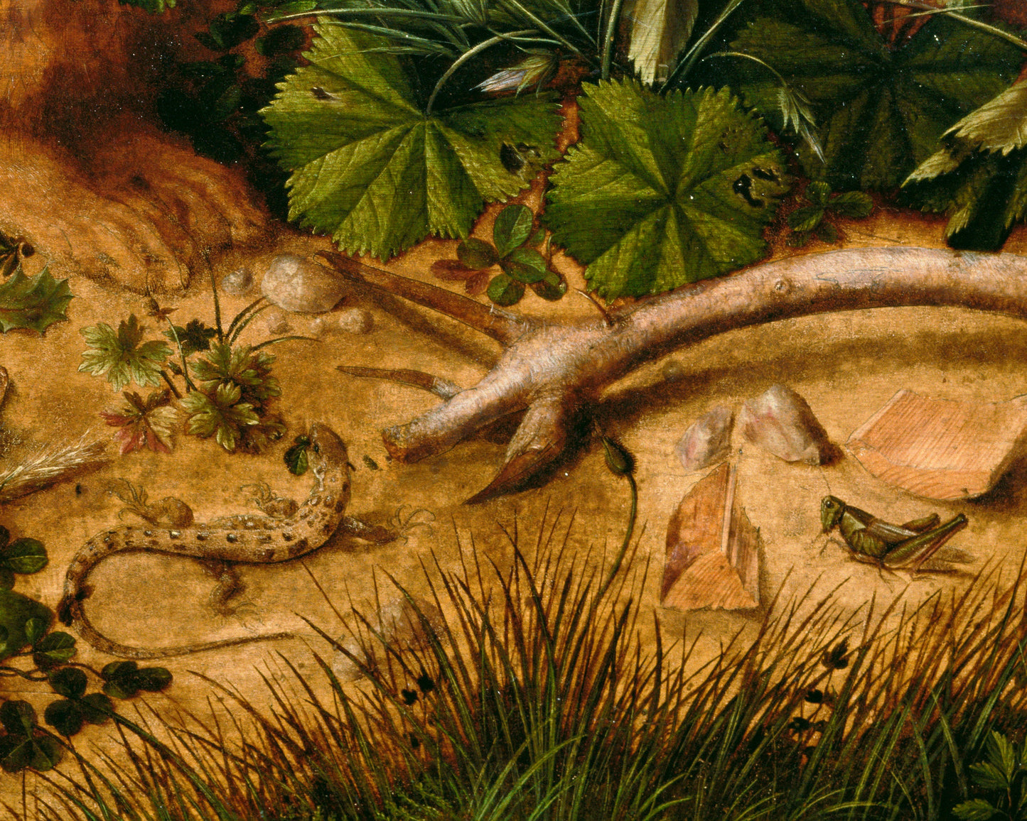 A Hare in the Forest | 1585