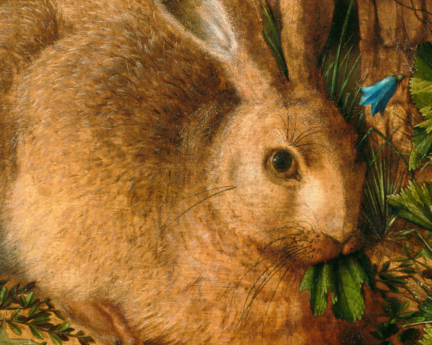 A Hare in the Forest | 1585