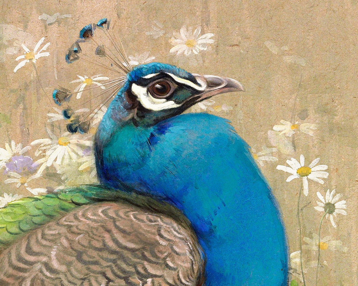 A Peacock and Marguerites | 1899