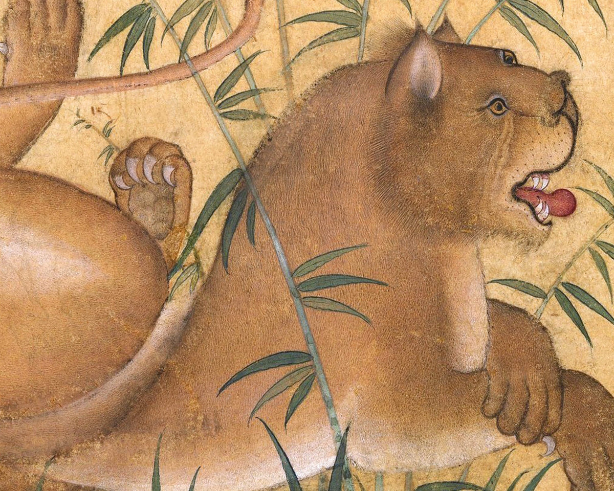Resting Lion | 17th Century