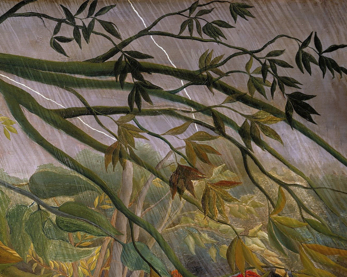 Surprised! | 1891