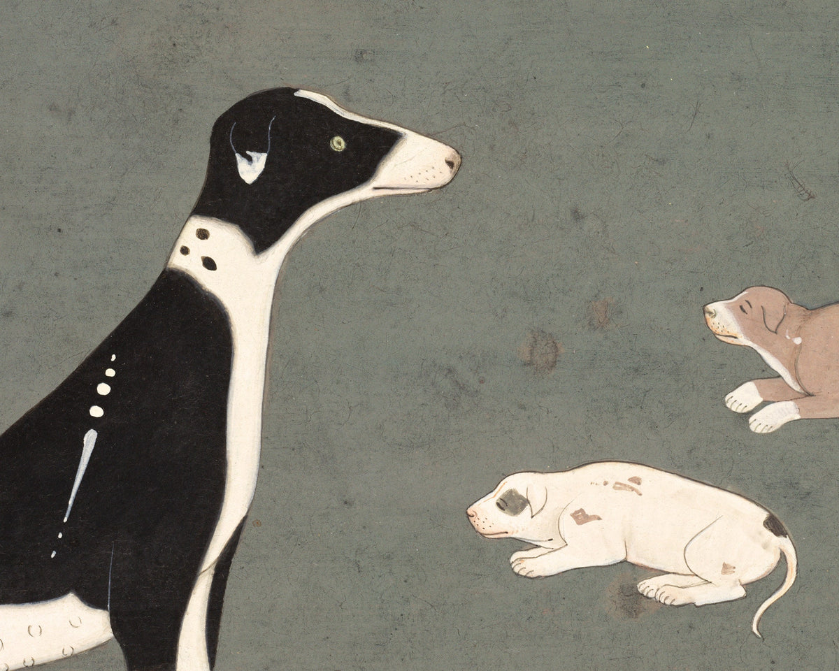 Dog with Pups | 1780