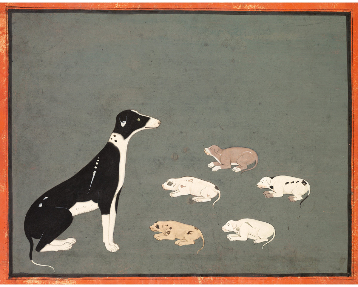 Dog with Pups | 1780