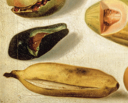 Still Life with Fruit | 1874